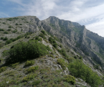 IMG_20220604_092139-Copy