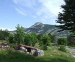 DSCF2725
