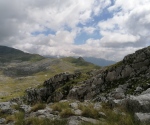 IMG_20200726_102920