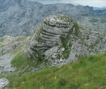 IMG_20200726_135035