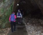 DSCF0923
