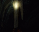 DSCF0965