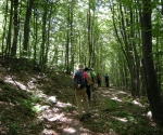 DSCN1918
