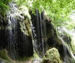 DSCN1920