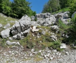 IMG_20200628_103559