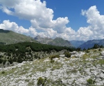 IMG_20200628_122239