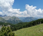 IMG_20200628_123741