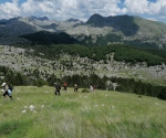 IMG_20200628_123922