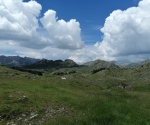 IMG_20200628_143930
