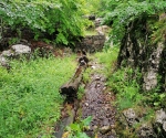 IMG_20200628_154446