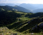 1240-DSC_4329