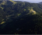 1240-DSC_4330