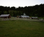 1240-DSC_4366