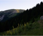 1240-DSC_4368