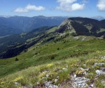 2240-DSC_4284