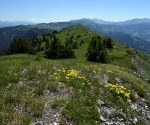 2240-DSC_4285