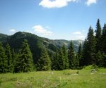 DSCN2014