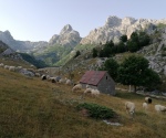 IMG_20210725_074546