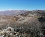 IMG_20220116_125421