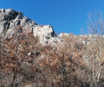 IMG_20220116_150842