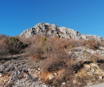 IMG_20220116_152105