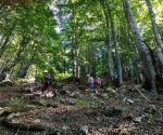 IMG_20200906_162624