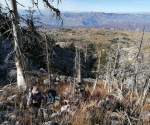 IMG_20201128_110953