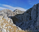 IMG_20201128_114701