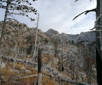 IMG_20201128_145503