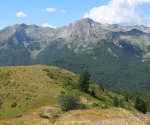 S0449047