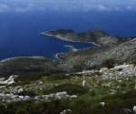 1240-DSC_3874