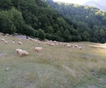 IMG_20200829_160221