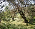 DSCN0996
