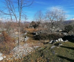 IMG_20201213_112250