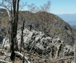 IMG_20210509_124530