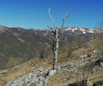 IMG_20210509_125535