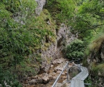 IMG_20200621_114417