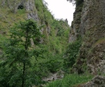 IMG_20200621_114737