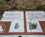 IMG_20200621_122336