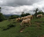 IMG_20200621_144128