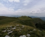 IMG_20200705_140951