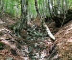 IMG_20200705_152553