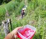viber_image_2020-07-07_15-59-01