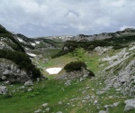 IMG_20210714_100321