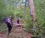IMG-642cf0a475eab03f8ed5790012fa6a5d-V