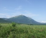 DSCF0919