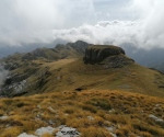 IMG_20201003_130231
