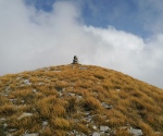 IMG_20201003_130426