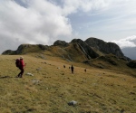IMG_20201003_132757