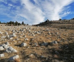 IMG_20201220_092304
